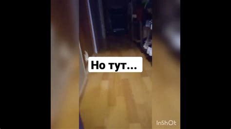 крутой заяц - YouTube