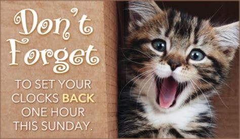 Dont Forget Ecard Free Daylight Saving Ends Cards Online