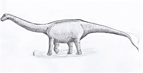 Argentinosaurus By Skiebear On Deviantart