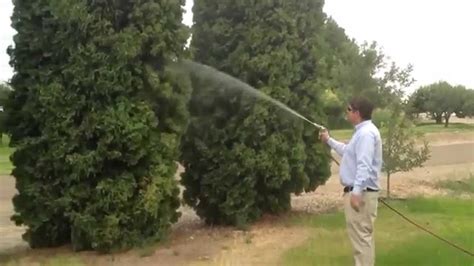 Power Spray Arborvitae Pest Control YouTube