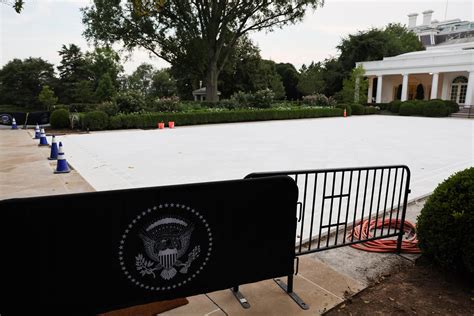 Massive garden renovations will improve the fig house 33