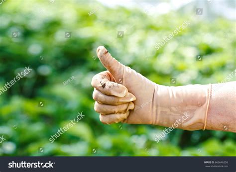 Worker Wearing Leather Work Glove Giving Stock Photo 669646258