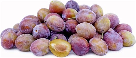 Sugar plum - Alchetron, The Free Social Encyclopedia