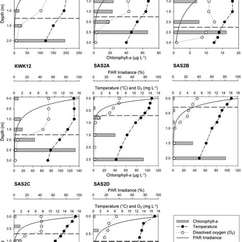 Vertical Profiles Of Temperature °c Dissolved Oxygen O 2 Mg L −1