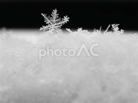 ついてるね 雪の結晶 7 2 No 23323960｜写真素材なら「写真ac」無料（フリー）ダウンロードok