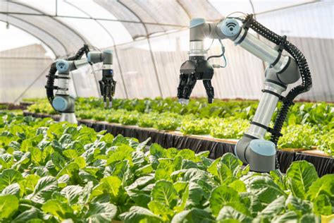 The Era Of Farm Automation The Agrotech Daily