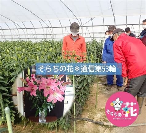 由仁町｜そらち・デ・ビュー 札幌から日帰りで楽しめる、北海道