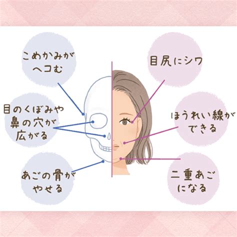 そのたるみ、シワの原因は肌の衰えだけではないかも？ 顔の骨密度の低下が顔の印象に影響！ ヘルスケア Fancl Clip ・美容と健康