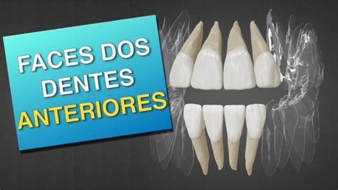 O Que São Dentes Anteriores - Dentes Anteriores: Definição e Importância | Actualizado julio 2026
