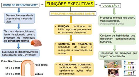 FunÇÕes Executivas Neurociência Cognitiva