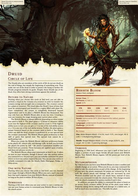 Dnd 2024 Druid Subclasses - Reeva Celestyn