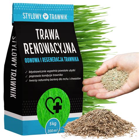 TRAWA NASIONA Renowacyjna Regeneracyjna Odporna Na Trawnik 5kg Cena