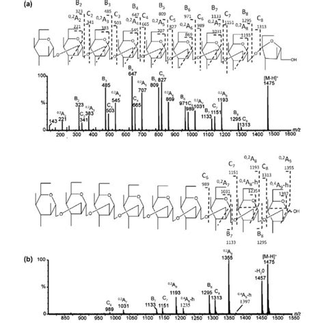 Negative Esi Cid Ms Ms Product Ion Of The Kojibiose A And Sucrose B