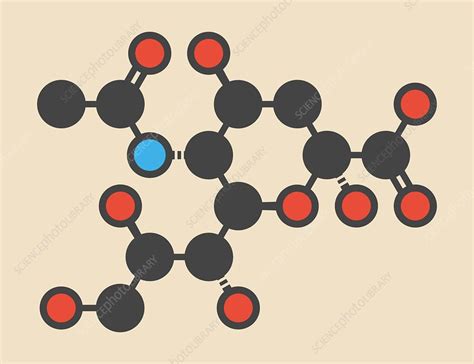 Sialic acid molecule - Stock Image - F012/6166 - Science Photo Library