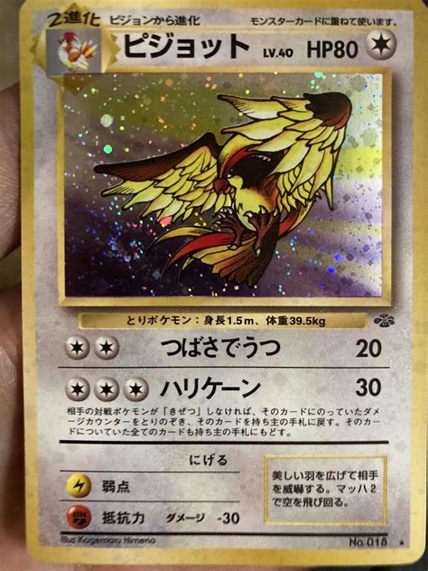 Mavin 1997 Pokemon Japanese Jungle Pidgeot Holo 18