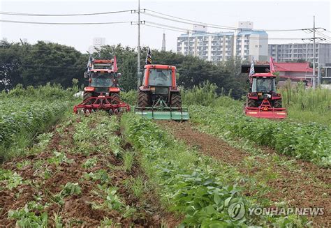 논콩밭 갈아엎는 농민들 연합뉴스