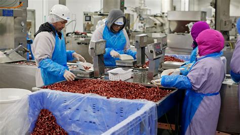 Sheboygan jobs, Manitowoc jobs open in Lakeshore Community Job Fair