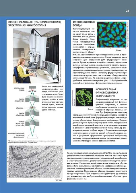 Книга "Основы молекулярной биологии клетки". Купить книги по биологии