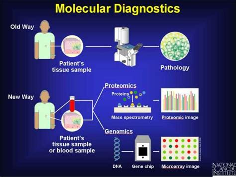 Ppt Molecular Diagnostics Why Powerpoint Presentation Free