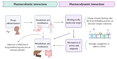 Pharmacokinetic And Pharmacodynamic Drug Interactions In Download