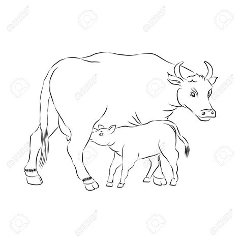 Cow Outline Drawing at GetDrawings | Free download