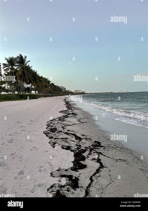 Beach on Key Biscayne, Florida Stock Photo - Alamy