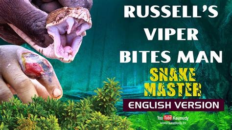 Russell Viper Bite