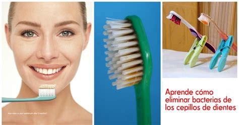 Cómo Eliminar Bacterias De Los Cepillos De Dientes ~