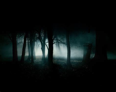 375x667 resolution | trees digital wallpaper, forest, dark, night ...