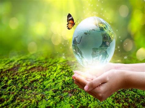 This New Year 2022 Take These 5 Eco Friendly Lifestyle Resolutions To