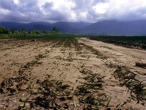 Bmkg Ingatkan Fenomena El Nino Bertahan Hingga Akhir Tahun Tagar