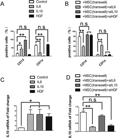 The Role Of Hgf Il6 And Il10 In The Uc Msc Mediated Inhibition Of Download Scientific Diagram