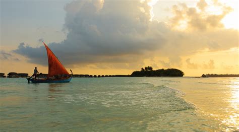 COCOA ISLAND RESORT — MALDIVES - ShockBlast