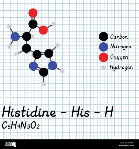 Histidine His H Amino Acid Molecular Formula And Chemical Structure