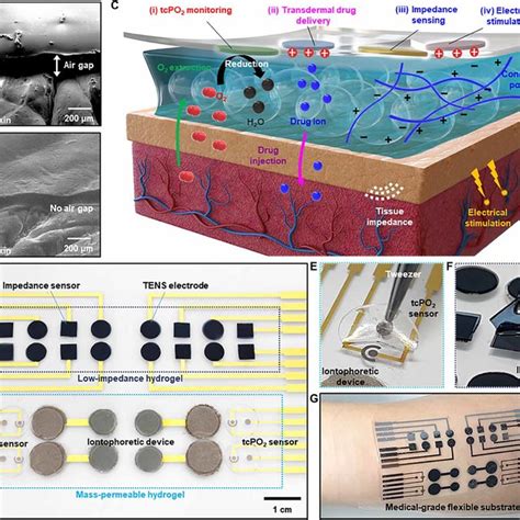 Pdf Tissue Like Skin Device Interface For Wearable Bioelectronics By Using Ultrasoft Mass