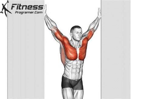 Doorway Pec And Shoulder Stretch » Workout Planner