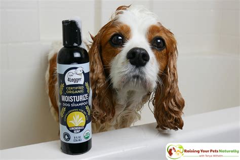 Natural Dog Shampoo Review: USDA Certified Organic Dog Shampoo with Lemongrass and Hemp by 4 ...