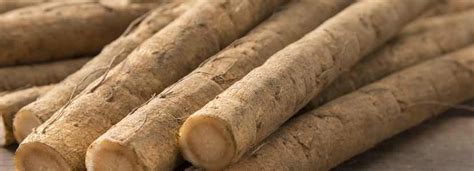 Benefits Of Burdock And Its Side Effects Lybrate