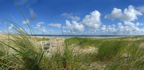 Fotobehang Bankje In De Duinen Van Vlieland 450 X 260 Cm 295 Bol