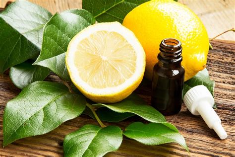 L Olio Essenziale Di Limone Come Usarlo I Profumatori