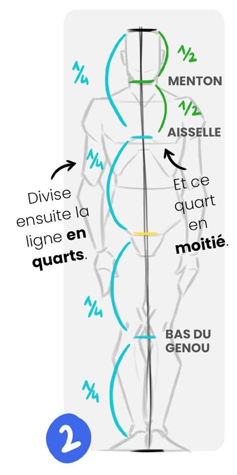 Comment Bien Dessiner Les Proportions Du Corps Humain Zephy Body