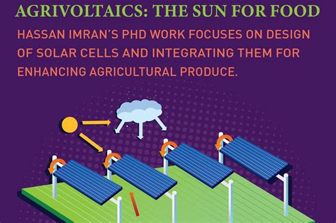 The Power Of Agrivoltaics Sbasse