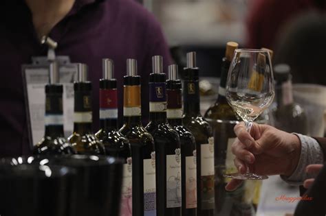 Slow Wine Fair Dove La Viticoltura Buon Esempio Per Una Nuova