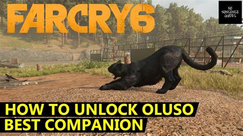 Far Cry Unlock Oluso How To Get Best Companion Youtube