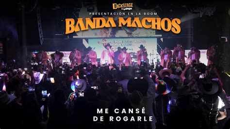 Banda Machos Me cansé de Rogarle desde La Boom bandamachos banda