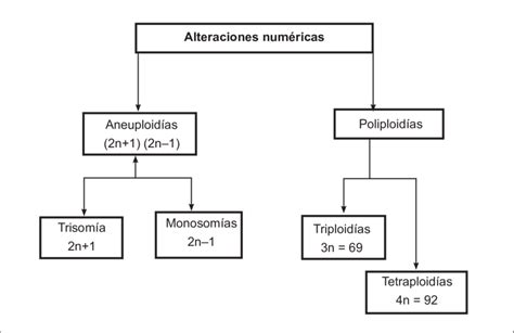 Cuadro Sinoptico Anomalias Alteraciones Se Caracteriza Por La The