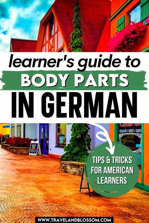 A Step-by-Step Guide to the Body Parts in German | Travel and Blossom