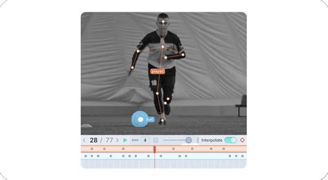 Keypoint Annotation Labeling Data With Keypoints Skeletons