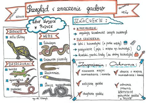 Klasa 6 Biologia Przegląd i znaczenie gadów Złoty nauczyciel