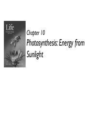 ChapterTen Photosynthesis.pdf - Chapter 10 Photosynthesis: Energy from Sunlight Energy and ...